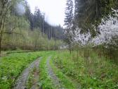  Wanderweg entlang des Seebsbachs 