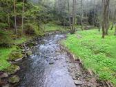  Impression vom Seebsbach 