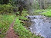  Wanderweg entlang des Seebsbach 