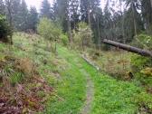  Wanderweg bergan nach Sauggern 