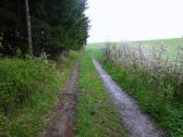  Wanderweg bergan nach Sauggern 