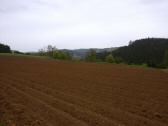  Fernblick zur Burgruine Kollmitz 