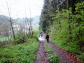  Wanderweg bergab nach Kollmitzgraben 