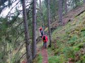 Wanderroute auf schnen abwechslungsreichen Waldwegen 