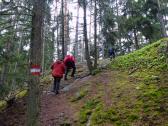 Wanderroute auf schnen abwechslungsreichen Waldwegen 