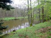  Blick zur Thaya 