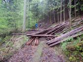  Weghindernisse durch Forstarbeiten 