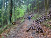 Weghindernisse durch Forstarbeiten 