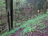  Blick auf die Wanderstrecke 