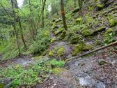  Blick auf die Wanderstrecke 