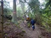  Weghindernisse durch Forstarbeiten 