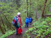  Wanderroute auf abwechslungsreichen Waldsteigen 