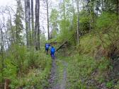  Wanderroute auf abwechslungsreichen Waldwegen 