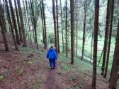  Wanderweg zur Oberpfinnigsteigmhle 