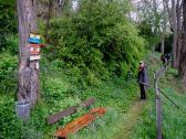  Wanderweg zur Pfarrkirche bzw nach Eibenstein 