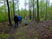  Wanderoute zur Burgruine Kollmitz 
