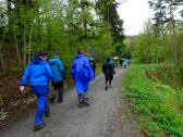  Wanderoute zur Burgruine Kollmitz 