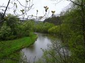  Impression von der Thaya 