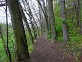  Wanderroute im Thayatal 