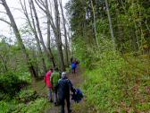  Wanderweg entlang der Raabs 