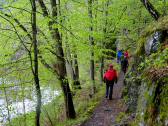  Wanderweg entlang der Raabs 