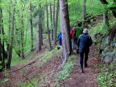  Wanderweg entlang der Raabs 