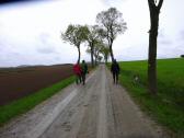 Wanderroute ber die Landesstrae 8065 nach Speisendorf
