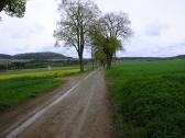 Wanderroute ber die Landesstrae 8065 nach Speisendorf