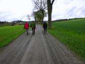 Wanderroute ber die Landesstrae 8065 nach Speisendorf