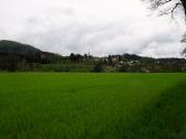  Fernblick nach Speisendorf 