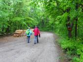  Wanderroute bei Vorderbrhl 
