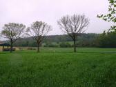 Fernblick auf die Wanderstrecke bei der Sittendorfer-Strae 