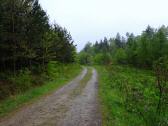  Wanderroute durch den Wald des Sandriegel 
