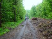  Wanderroute durch den Wald des Sandriegel 