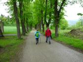  Wanderroute ber die Allee nach Heiligenkreuz 