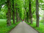  Wanderroute ber die Allee nach Heiligenkreuz 