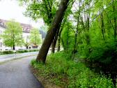 Wanderroute auf dem neuen Radweg entlang des Sattelbachs 