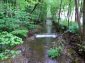  Blick auf den Sattelbach 