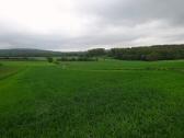 Blick auf die Wanderstrecke durch die "Heiligenkreuzer Wiesen" 