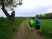   Marathonis durch die "Heiligenkreuzer Wiesen" 