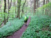  Wanderroute zum Purbach 