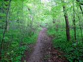  Wanderweg zum Jugendbrunnen 