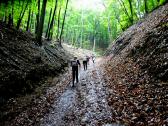  Wanderweg bergan durch das groe Kiental 
