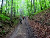  Wanderweg bergan durch das groe Kiental 