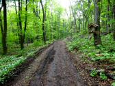  Wanderweg zur Kote 540 