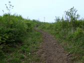  Wanderweg leicht bergan zum Anningergipfel 