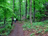  Wanderweg leicht bergan zum Anningergipfel 