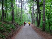  Wanderroute ber die Forststrae zur "Breite Fhre" 