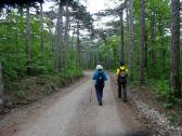  Wanderroute weiter bergab nach Mdling 
