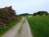  Blick auf die Wanderstrecke 
